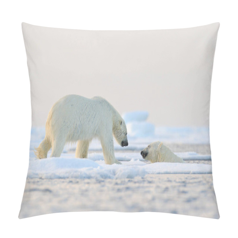 Personality  Polar Bear Swimming In Water. Two Bears Playing On Drifting Ice With Snow. White Animals In The Nature Habitat, Alaska, Canada. Animals Playing In Snow, Arctic Wildlife. Funny Nature Image. Pillow Covers