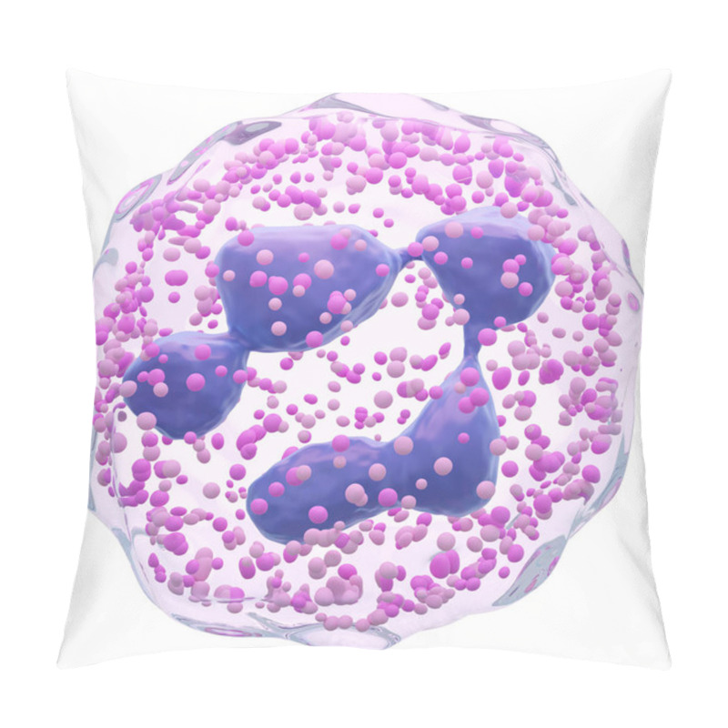 Personality  Neutrophil . Polymorphonuclear ( PMN ) . White Blood Cells With Transparency Membrane And Multinucleus And Many Granule . Isolated White Background . 3D Render . Pillow Covers