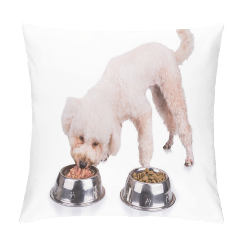 Personality  Poodle Dog Enjoying Her Nutritious And Delicious Raw Meat Meal Pillow Covers