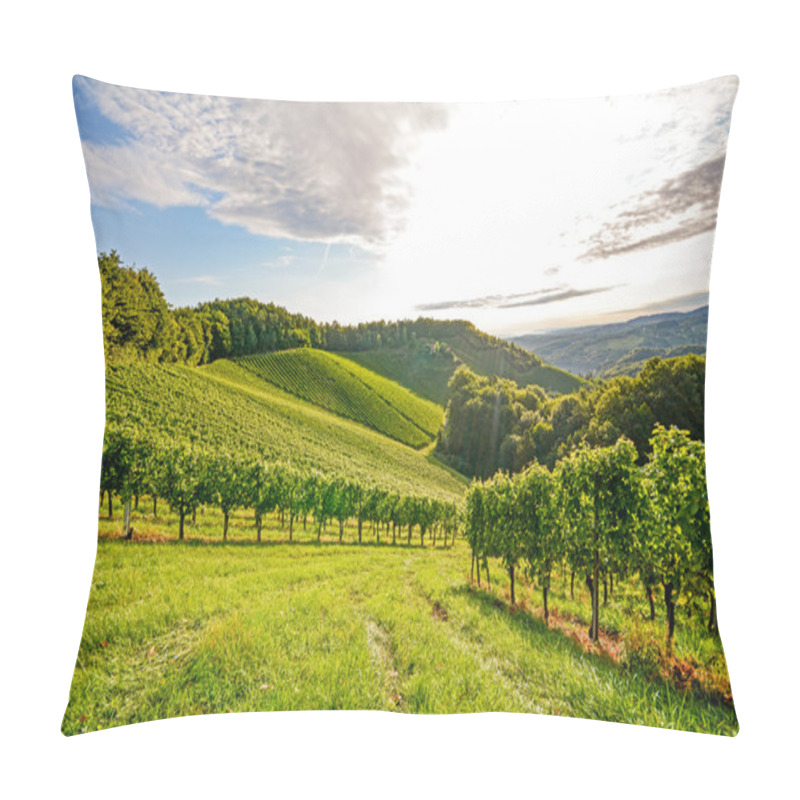 Personality  Vines In A Vineyard In Autumn - Wine Grapes Before Harvest Pillow Covers