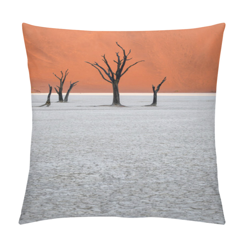 Personality  Deadvlei, Namibia Pillow Covers