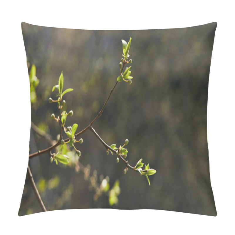 Personality  Selective Focus Of Tree Branches With Blooming Green Leaves In Sunshine Pillow Covers