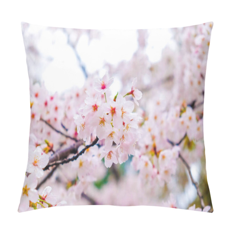 Personality  Spring Sakura Blossom Pink Flower Japanese Sign Pillow Covers