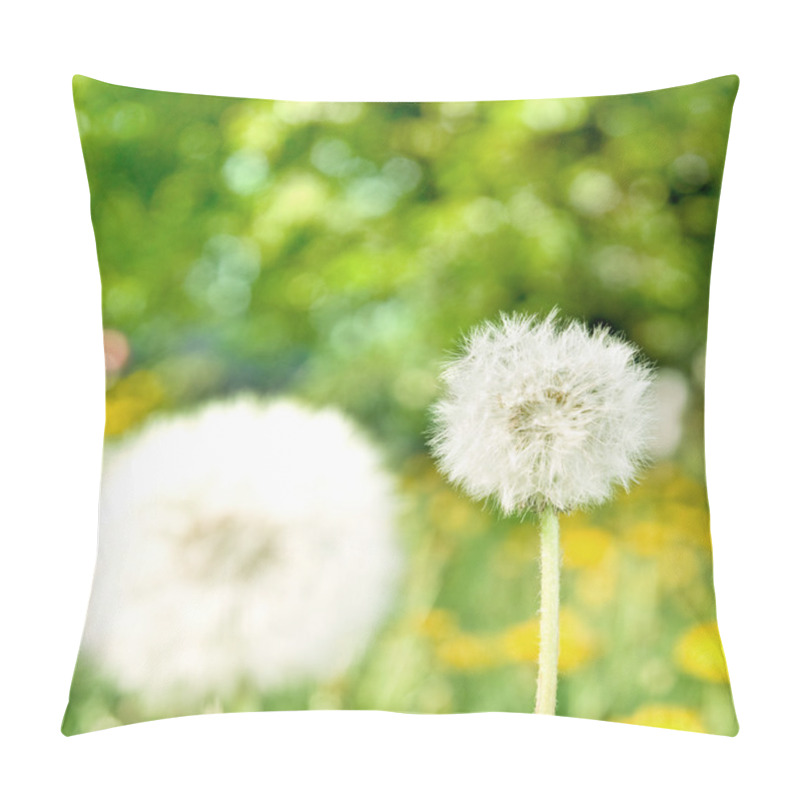 Personality  Dandelions On Green Nature Background Pillow Covers