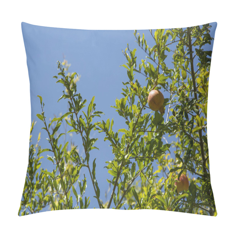 Personality  Pomegranate Fruit On Tree  Pillow Covers