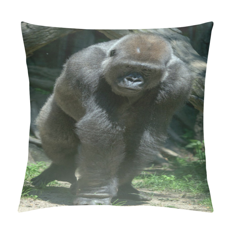 Personality  Gorilla Ape Monkey Close Up Portrait Pillow Covers