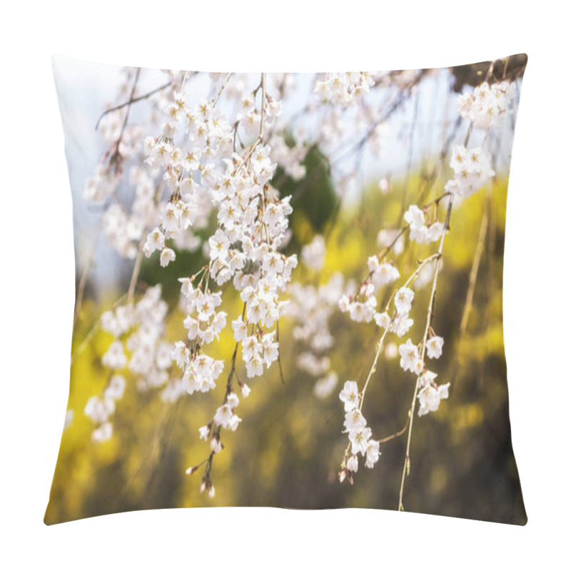 Personality  Cherry Blossoms In Spring Pillow Covers