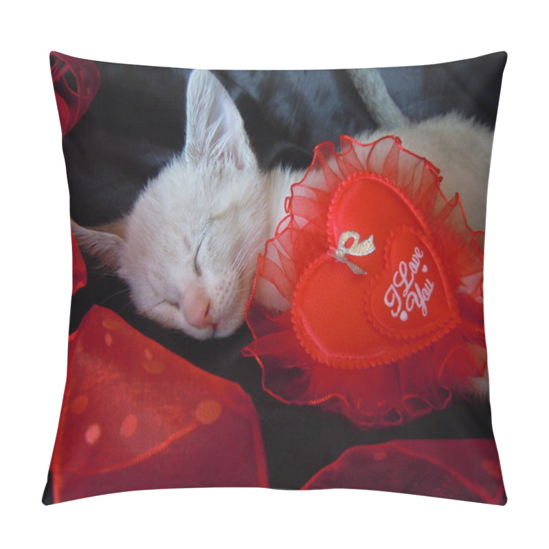 Personality  Little Kitten In Love Pillow Covers