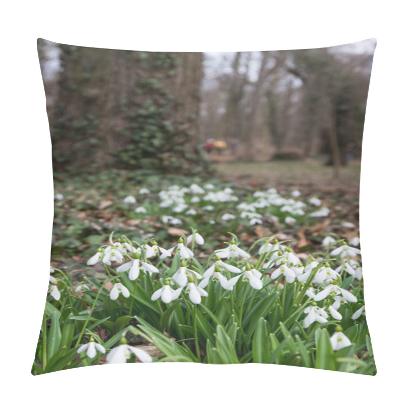 Personality  Beautiful White Snowdrops Pillow Covers