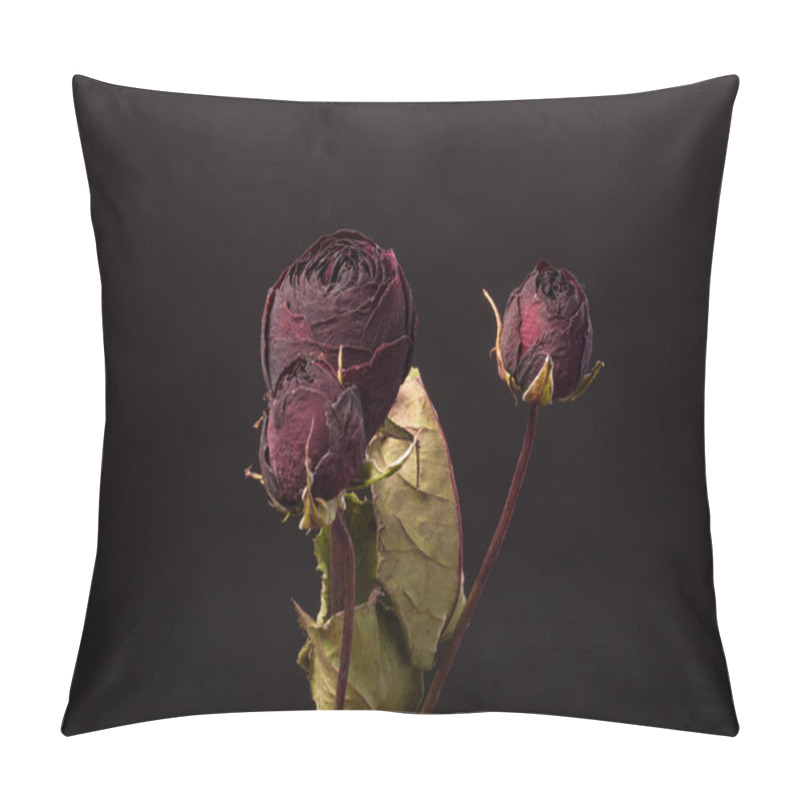 Personality  Dried Rose On A Black Background Pillow Covers