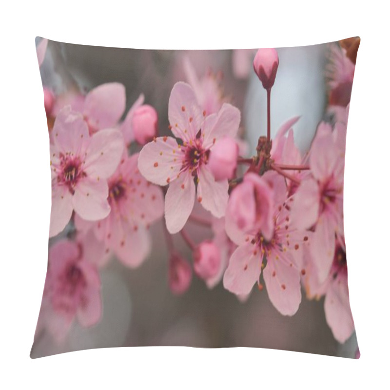 Personality  Close-up Image Of The Blossom On A Prunus Serrulata, Flowering Cherry Tree. Spring Time. Pillow Covers