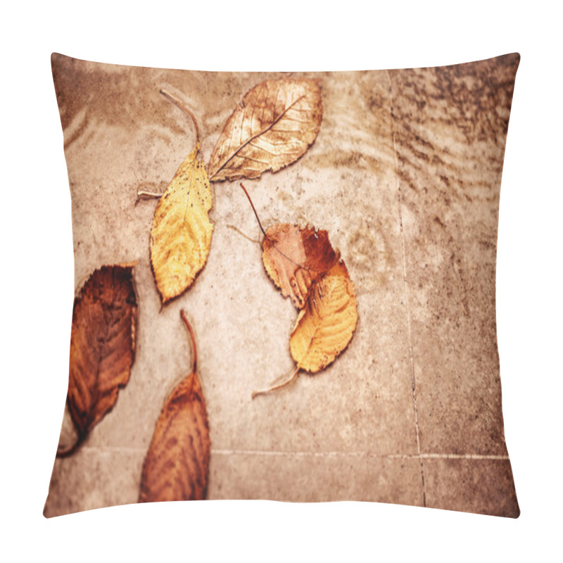 Personality  Dry Autumn Leaves In The Puddle Pillow Covers