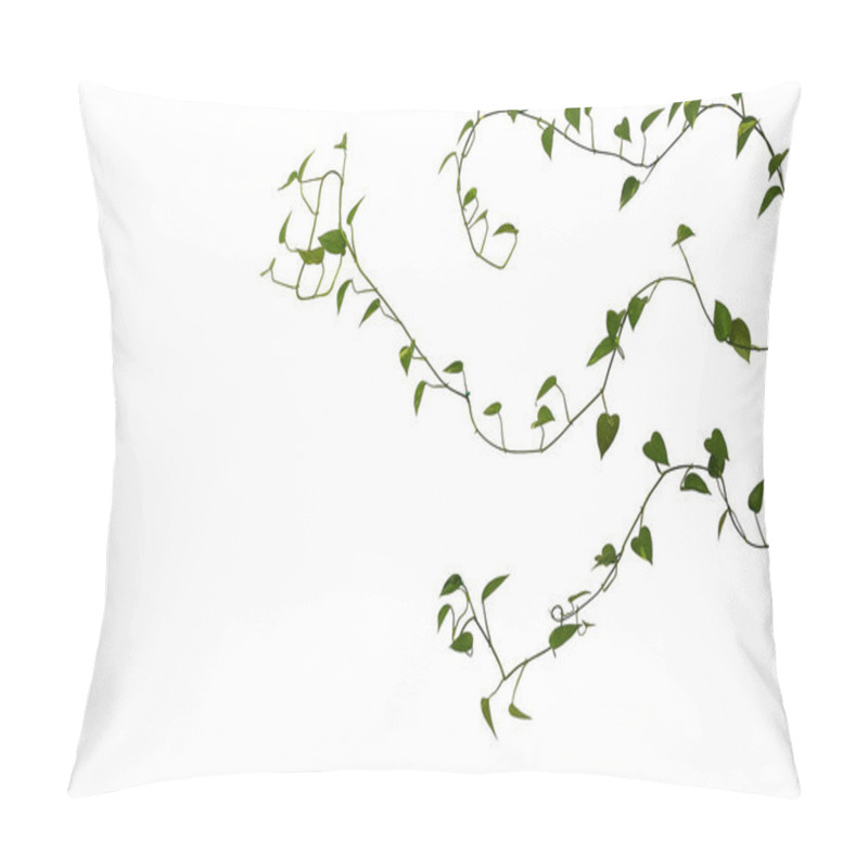 Personality  Green Long Weaving Plant On A White Background Pillow Covers