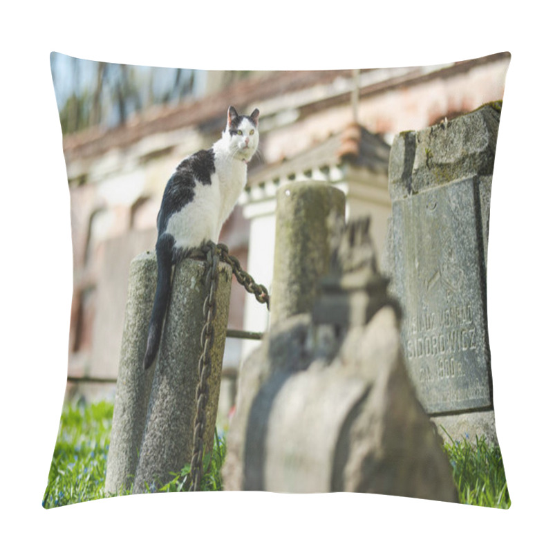 Personality  VILNIUS, LITHUANIA - APRIL 20, 2023: Famous black and white cat sitting on a tombstone on sunny day in Bernardine cemetery, one of the three oldest graveyards in Vilnius, Lithuania. pillow covers