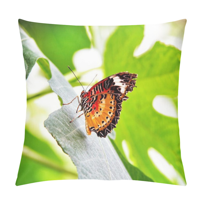 Personality  Leopard Lacewing Butterfly Pillow Covers