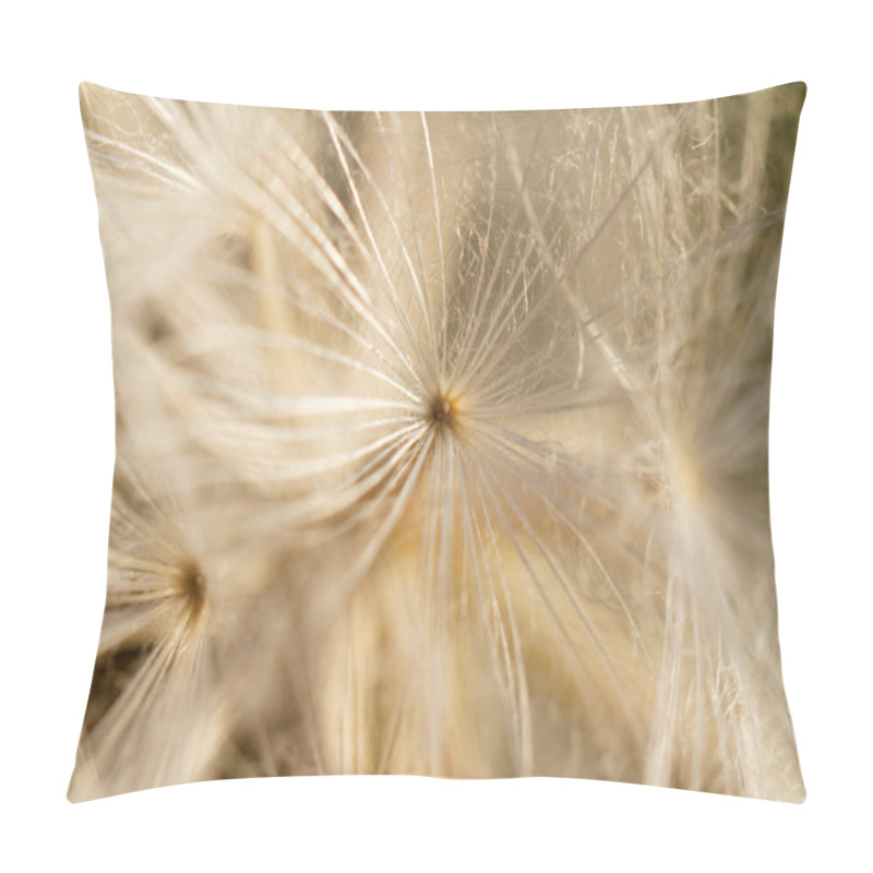 Personality  Dandelion Seeds - Macro Photo Pillow Covers