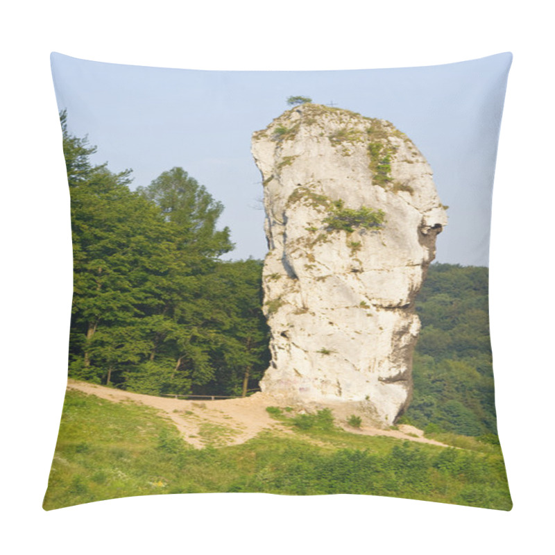 Personality  Rock Called Maczuga Herkulesa In National Ojcow Park, Poland Pillow Covers