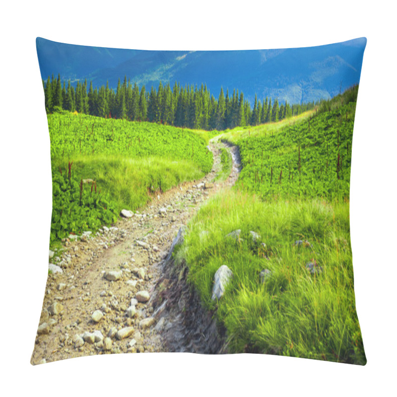 Personality  Carpatian Summer Landscape. Pillow Covers