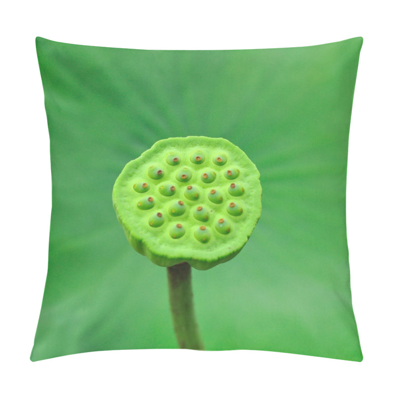 Personality  Lotus Seeds With Green Leaf. Pillow Covers