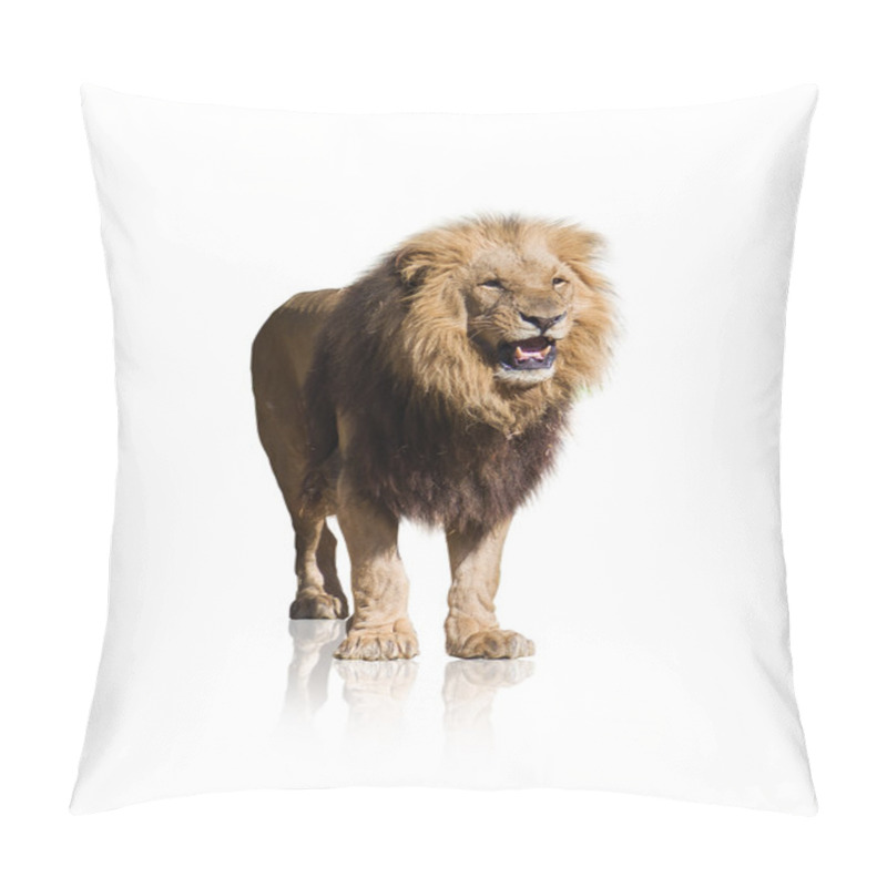 Personality  Portrait Of Wild Lion Pillow Covers