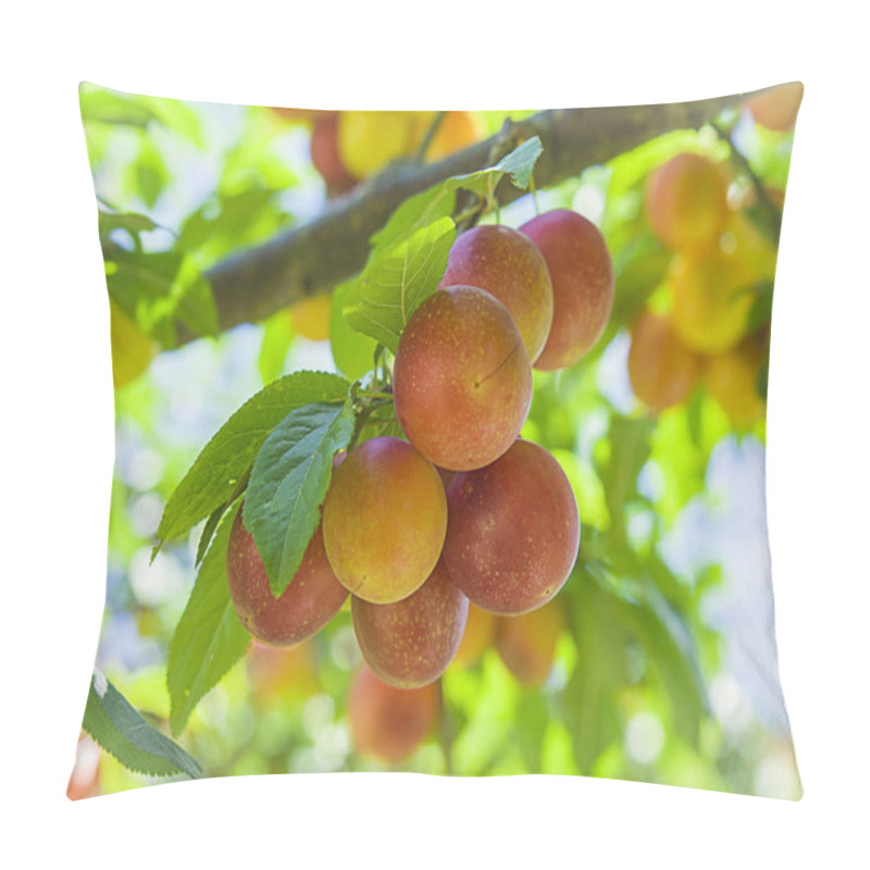 Personality  Branches With Not Ripe Yellow Red Cherry Plum Fruit Growing In The Garden Pillow Covers