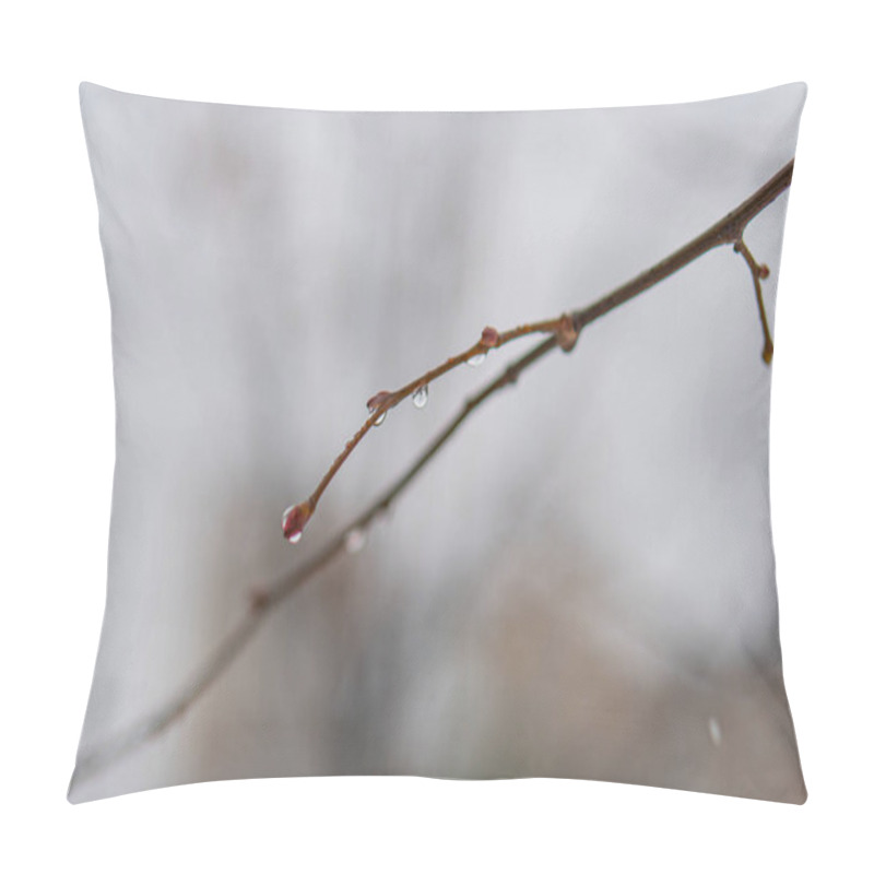 Personality  Close-up Image Of Bare Tree Branches Extending Horizontally, Possibly From A Larger Tree Early Spring With Buds Forming And Dewrain Droplets On The Branches Naturalistic Photography Style Capturin Pillow Covers