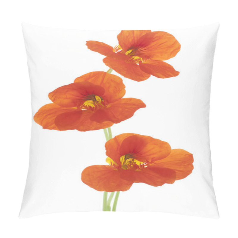 Personality  Nasturtium Pillow Covers