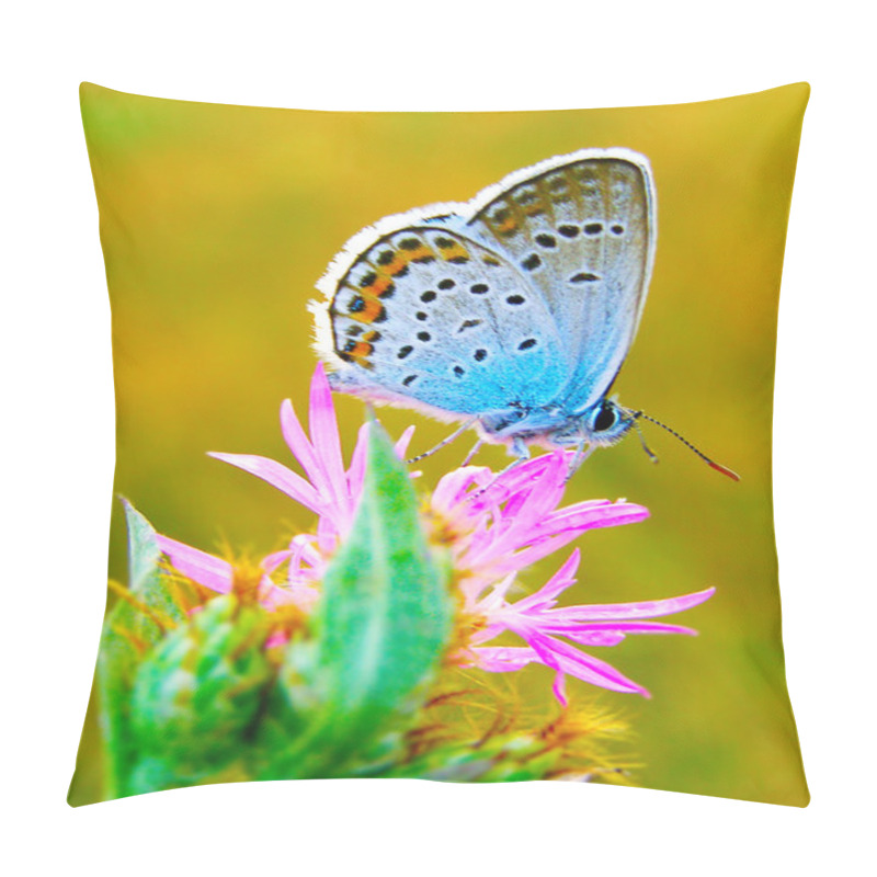 Personality  Butterfly On A Summer Wild Flower Pillow Covers