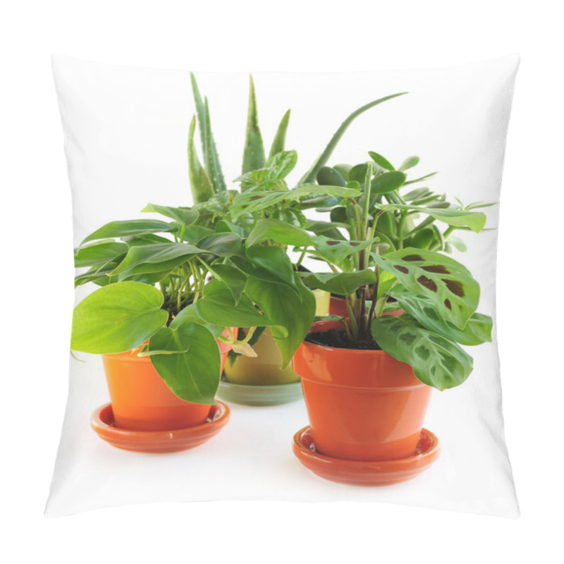 Personality  Assorted Houseplants Pillow Covers