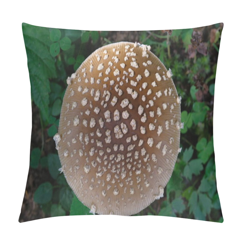 Personality  Cap Of The Fly Agaric Is Brown With White Spots. Poisonous Mushroom, Forest Floor, Small World. Pillow Covers