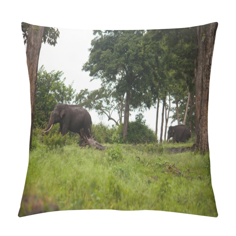 Personality  Asian Elephant Pillow Covers