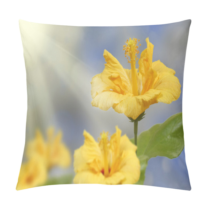 Personality  Yellow Hibiscus Flower Pillow Covers