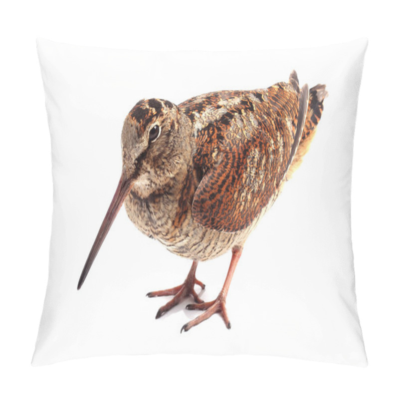 Personality  Eurasian Woodcock (Scolopax Rusticola) Isolated On White Background Pillow Covers