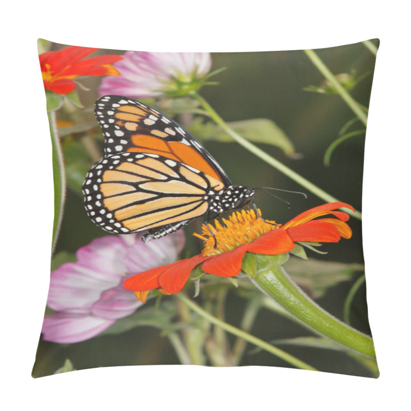 Personality  Flowers And Monarch Butterfly Pillow Covers