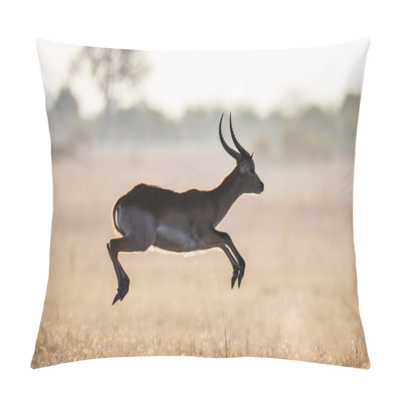 Personality  Adult Gazelle Running In Savanna Pillow Covers