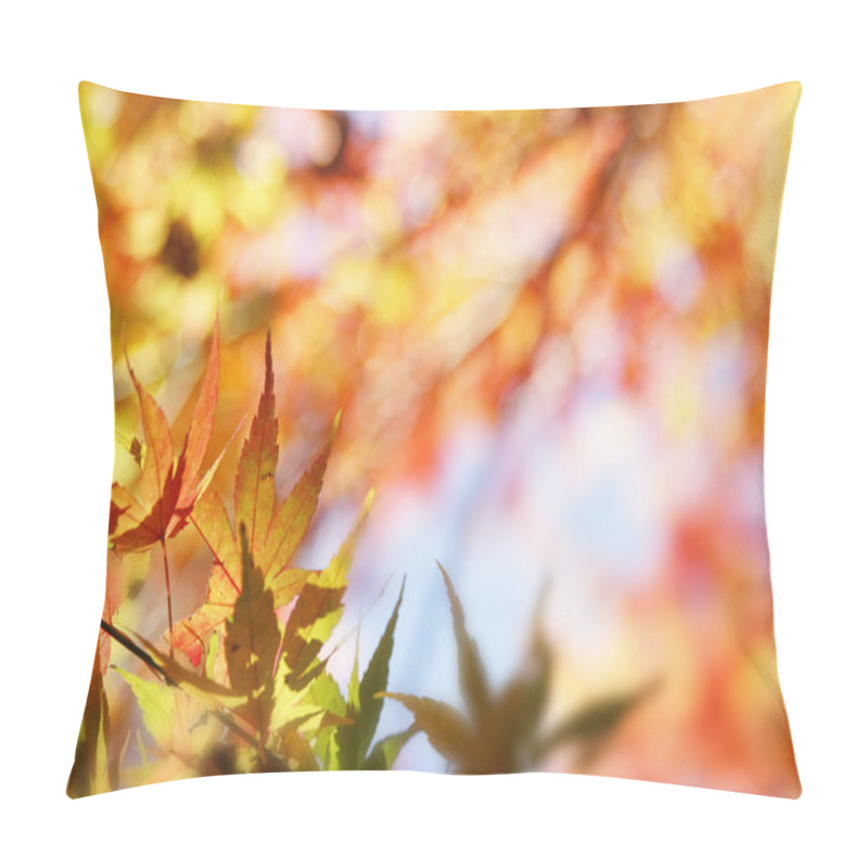 Personality  Autumn Pillow Covers