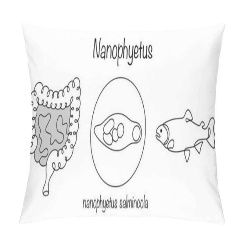 Personality  Nanophyetus. A Pathogen That Affects The Intestines. Infection Occurs Through Consumption Of Salmon Fish, The Tissues Of Which Contain Parasite Larvae. Simple Medical Illustration. Pillow Covers