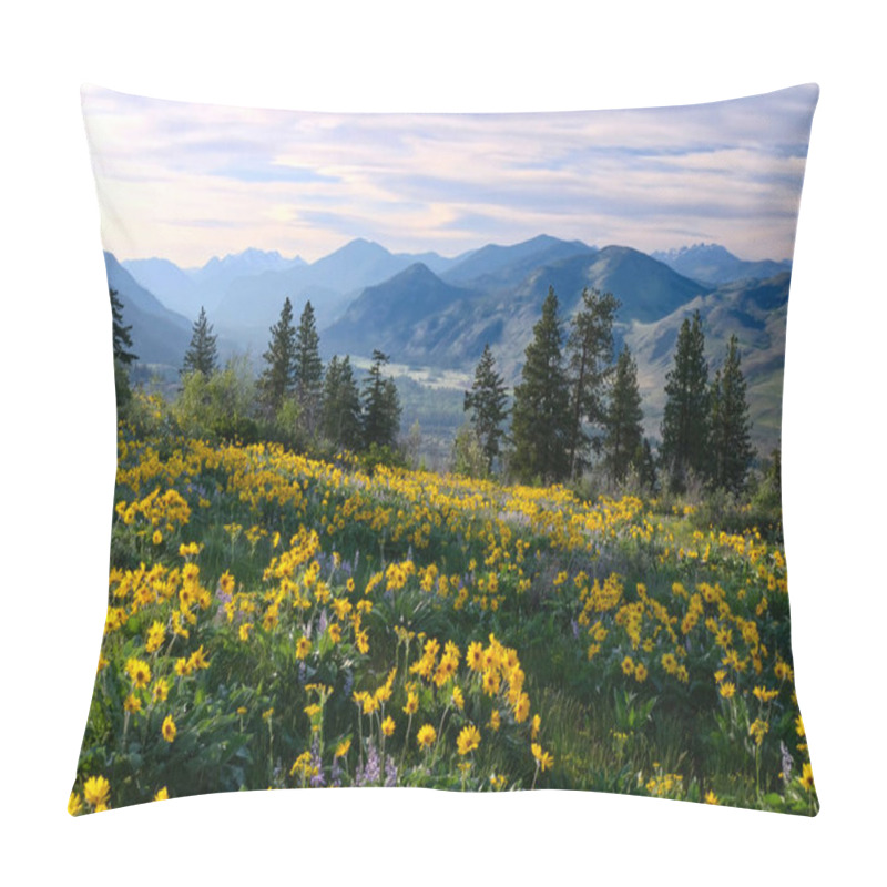 Personality  Hiking In Washington. Meadows With Arnica  And Lupine Wildflowers And Cascade Range Mountains Near Winthrop. WA. Unites States. Pillow Covers