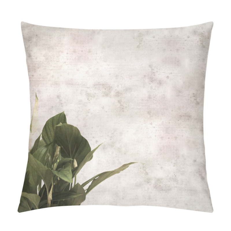 Personality  Textured Stylish Old Paper Background, Square, With Spathiphyllum, Peace Lily Pillow Covers