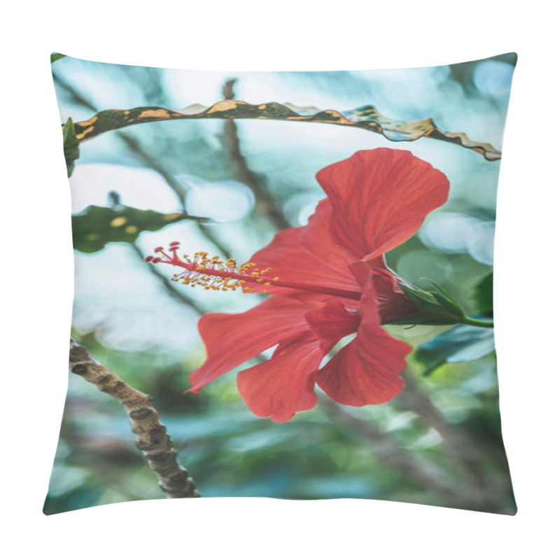 Personality  Close Up View Of Red Hibiscus Flower On Green Plant Pillow Covers