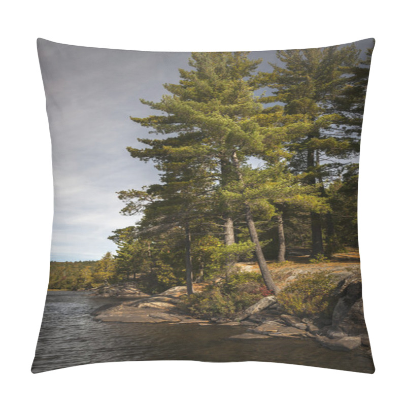 Personality  Tall Pines On Lake Shore Pillow Covers