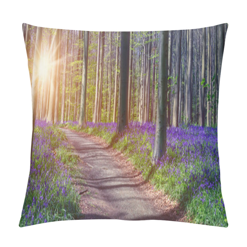 Personality  Path Through The Bluebells Forest In Belgium. Panorama Landscape With Sunset View. Pillow Covers