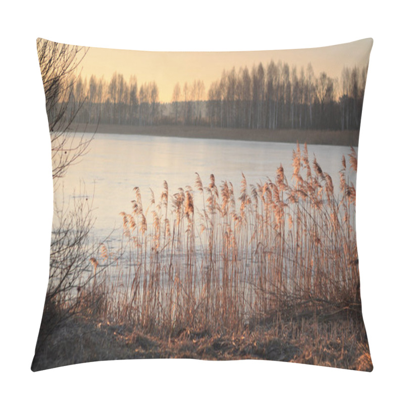 Personality  Ornamental High Grasses In The Wind In Golden Winter Sunset Over Frozen Lake 2020 Pillow Covers