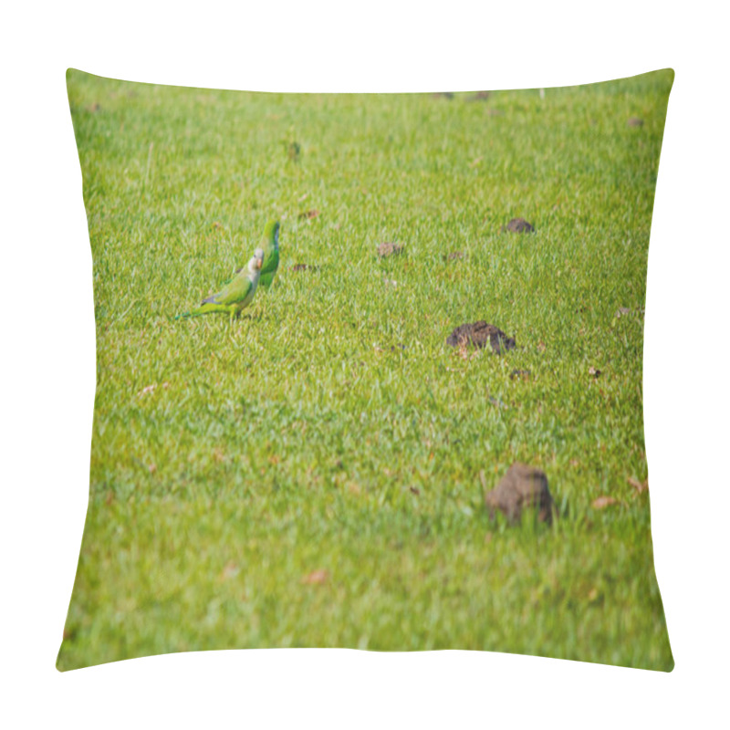 Personality  A Caturrita Bird (Myiopsitta Monachus) Perched On Lush Green Pasture, Enjoying The Peaceful Surroundings Under The Open Sky. Pillow Covers