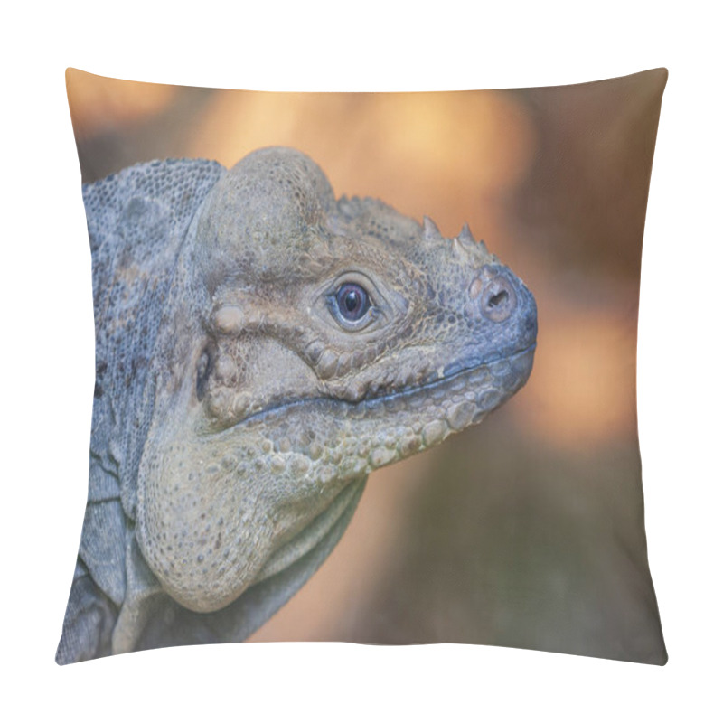 Personality  Portrait Of An Iguana On A Nice Background. Pillow Covers