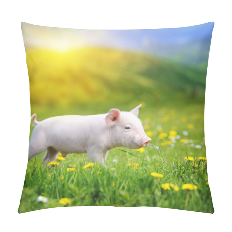 Personality  Young Pig On A Green Grass Pillow Covers