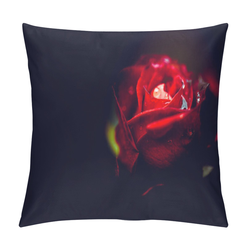 Personality  Flowers In Nature During Daytime Pillow Covers