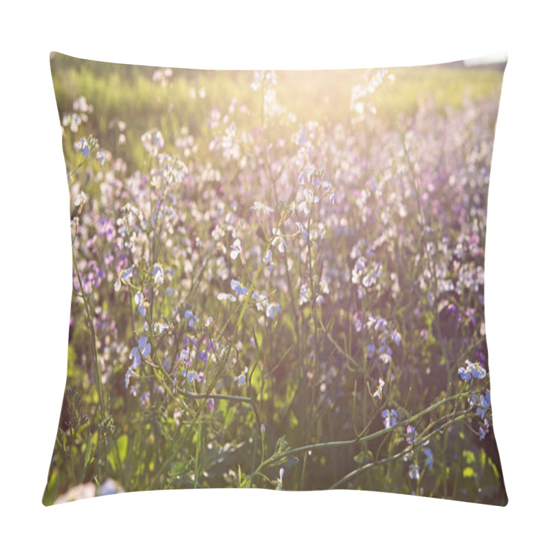 Personality  Beautiful Meadow Flowers In The Sunset Light Background Pillow Covers