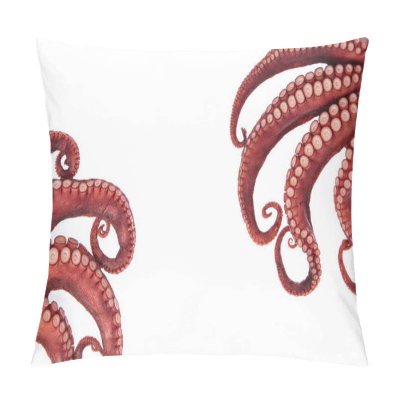 Personality  Beautiful Of A Squid Tentacles Isolated On White Background Pillow Covers