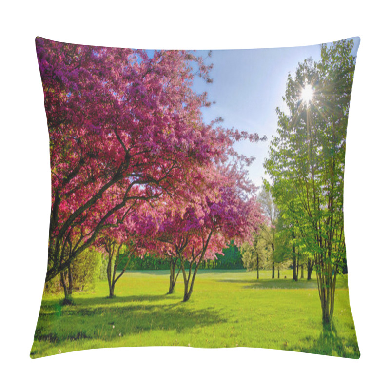 Personality  Lens Flare With Crab Apple Trees In Full Bloom In Spring Pillow Covers